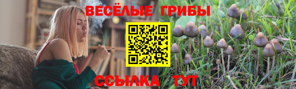 Донской  Галлюциногенные грибы MAGIC MUSHROOMS  цена   Галлюциногенные грибы Cubensis  Вход с VPN 